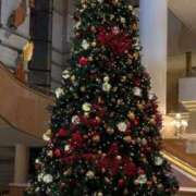 ヒメ日記 2025/12/11 14:05 投稿 栞(しおり) グランドオペラ横浜