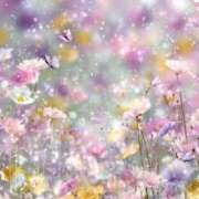 ヒメ日記 2025/12/11 14:28 投稿 栞(しおり) グランドオペラ横浜