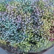 栞(しおり) だいすきな♡ グランドオペラ横浜