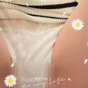 ヒメ日記 2025/04/25 22:29 投稿 しほ 水戸人妻花壇