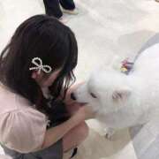 ヒメ日記 2025/06/11 16:36 投稿 めぐ 秋葉原コスプレ学園(AKG)