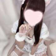 ヒメ日記 2025/08/26 02:51 投稿 めぐ 秋葉原コスプレ学園(AKG)