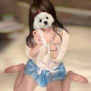 ヒメ日記 2025/11/27 02:41 投稿 めぐ 秋葉原コスプレ学園(AKG)