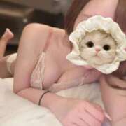 ヒメ日記 2025/12/31 03:14 投稿 めぐ 秋葉原コスプレ学園(AKG)