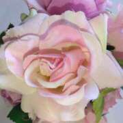 ヒメ日記 2026/01/07 09:30 投稿 水野 鶯うぐ