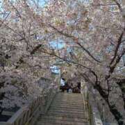 ヒメ日記 2026/04/04 09:18 投稿 水野 鶯うぐ