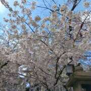 ヒメ日記 2026/04/09 09:36 投稿 水野 鶯うぐ