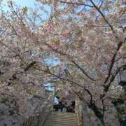 ヒメ日記 2026/04/12 09:46 投稿 水野 鶯うぐ
