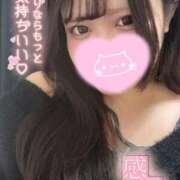 ヒメ日記 2026/01/11 23:31 投稿 えりか 奥様特急長岡店