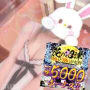 ヒメ日記 2024/12/18 08:31 投稿 ひばり 沼津人妻花壇