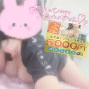 ヒメ日記 2025/03/13 11:17 投稿 ひばり 沼津人妻花壇