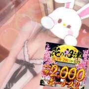 ヒメ日記 2025/04/08 08:00 投稿 ひばり 沼津人妻花壇