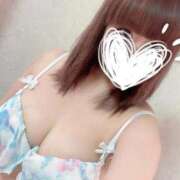 ヒメ日記 2025/06/26 08:04 投稿 ひばり 沼津人妻花壇