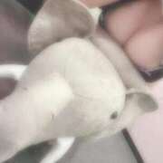 ヒメ日記 2025/07/03 19:00 投稿 ひばり 沼津人妻花壇