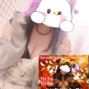 ヒメ日記 2025/11/07 19:49 投稿 ひばり 沼津人妻花壇