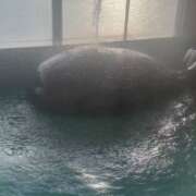 ヒメ日記 2025/11/24 23:48 投稿 ひばり 沼津人妻花壇