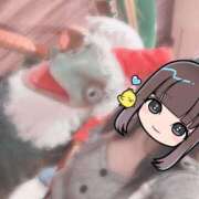 ヒメ日記 2025/12/23 14:10 投稿 ひばり 沼津人妻花壇