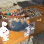 ヒメ日記 2026/01/18 12:51 投稿 ひばり 沼津人妻花壇