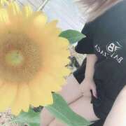 ヒメ日記 2026/04/02 15:05 投稿 ひばり 沼津人妻花壇