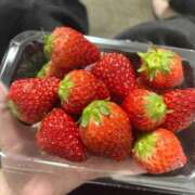 ヒメ日記 2025/05/24 15:50 投稿 のあ マリンマリン