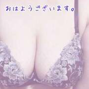 ヒメ日記 2025/06/10 06:34 投稿 あき ギン妻パラダイス 和歌山店