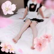 さくらこ ご予約はお早めに💕 五反田アンジェリーク