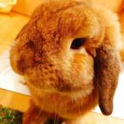 ヒメ日記 2025/07/11 13:46 投稿 琴葉（コトハ） アバンチュール(五反田)