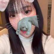 ヒメ日記 2024/12/12 09:31 投稿 タマキ COCOMERO（ココメロ）