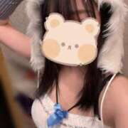 ヒメ日記 2024/12/22 08:16 投稿 タマキ COCOMERO（ココメロ）