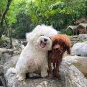 ヒメ日記 2024/12/22 10:31 投稿 タマキ COCOMERO（ココメロ）