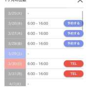 ヒメ日記 2025/03/24 15:46 投稿 タマキ COCOMERO（ココメロ）