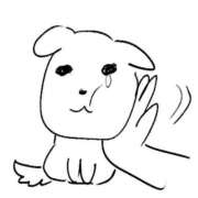 ヒメ日記 2025/04/28 15:46 投稿 タマキ COCOMERO（ココメロ）