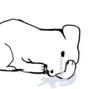 ヒメ日記 2025/05/23 05:01 投稿 タマキ COCOMERO（ココメロ）