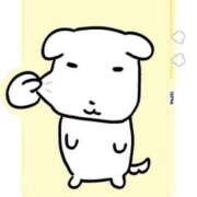 ヒメ日記 2025/05/25 06:16 投稿 タマキ COCOMERO（ココメロ）