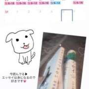 ヒメ日記 2025/08/21 09:01 投稿 タマキ COCOMERO（ココメロ）