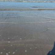 ヒメ日記 2025/08/24 09:31 投稿 タマキ COCOMERO（ココメロ）