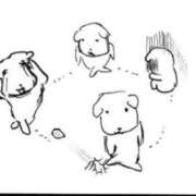 ヒメ日記 2025/09/27 10:16 投稿 タマキ COCOMERO（ココメロ）