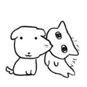 ヒメ日記 2025/10/22 09:01 投稿 タマキ COCOMERO（ココメロ）