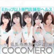 ヒメ日記 2025/11/18 20:31 投稿 タマキ COCOMERO（ココメロ）