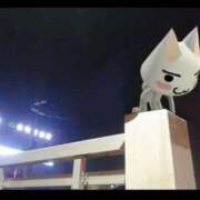 ヒメ日記 2025/11/23 07:46 投稿 タマキ COCOMERO（ココメロ）