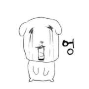 ヒメ日記 2025/12/21 06:31 投稿 タマキ COCOMERO（ココメロ）