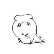 ヒメ日記 2026/02/28 13:16 投稿 タマキ COCOMERO（ココメロ）