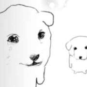 ヒメ日記 2026/03/14 06:46 投稿 タマキ COCOMERO（ココメロ）