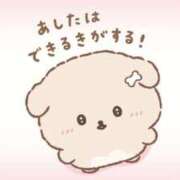 ヒメ日記 2026/06/19 10:31 投稿 タマキ COCOMERO（ココメロ）