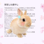 ヒメ日記 2026/03/26 11:23 投稿 姫川かりん 厚木OL委員会