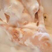 ヒメ日記 2025/09/06 21:36 投稿 藤原 まみこ こあくまな熟女たち小倉店（KOAKUMAグループ）