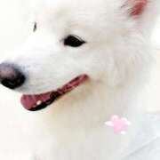 ゆめ 🐶🦴‎🤍 丸の内