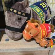 ヒメ日記 2025/05/06 06:23 投稿 まなか アラモード