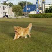 ヒメ日記 2025/05/27 10:58 投稿 まなか アラモード