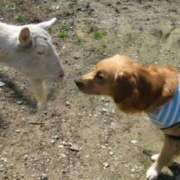 ヒメ日記 2025/06/01 19:48 投稿 まなか アラモード